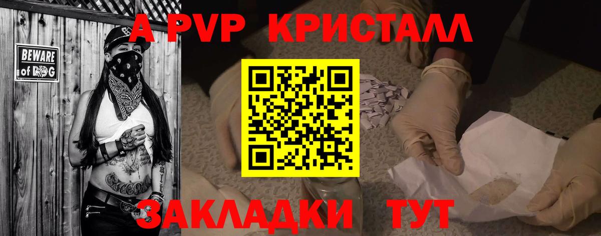 A PVP СК Печора