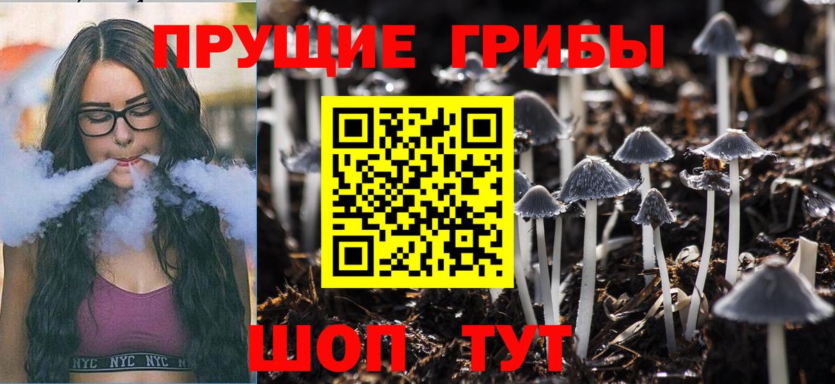 Печора  Псилоцибиновые грибы Magic Shrooms  Псилоцибиновые грибы Magic Shrooms  Вход с VPN 